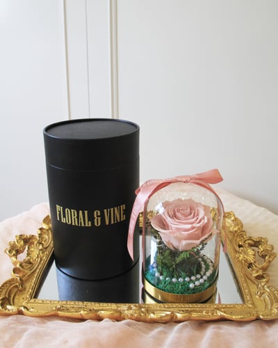 Princess Belle 貝拉公主永恆玫瑰玻璃盅 (公主粉)4