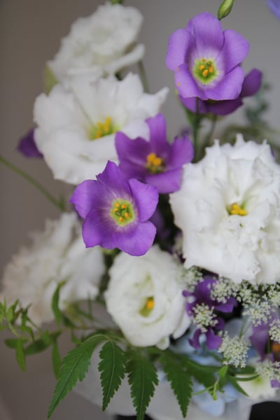 Lavender Bloom 紫蘊．綻放7