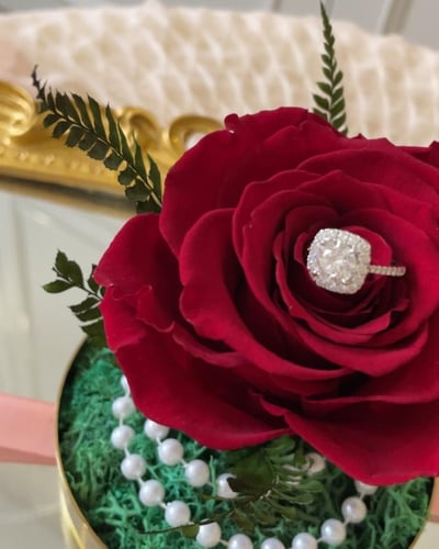 Princess Belle 貝拉公主永恆玫瑰玻璃盅 (時尚紅)2