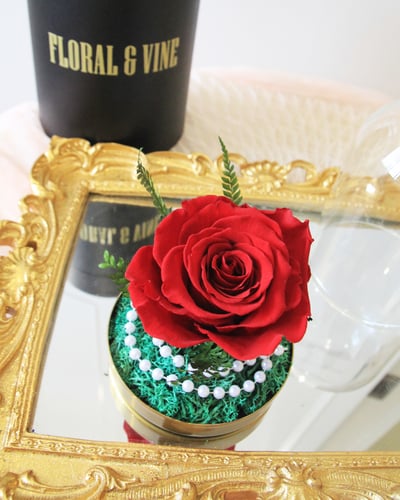 Princess Belle 貝拉公主永恆玫瑰玻璃盅 (時尚紅)5