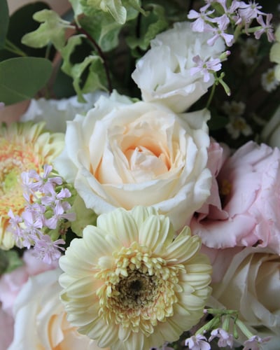 Shimmer 微光晨曦7