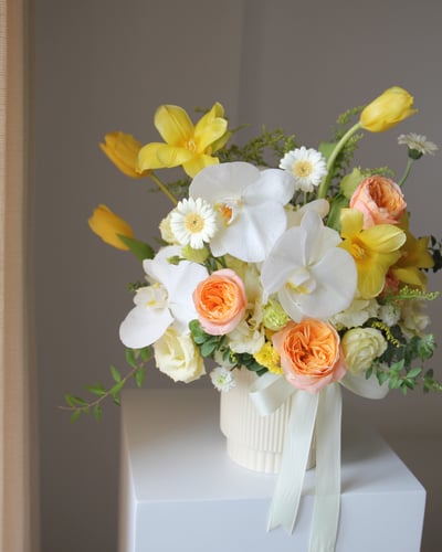 Butterfly Waltz 錦繡蝶舞5