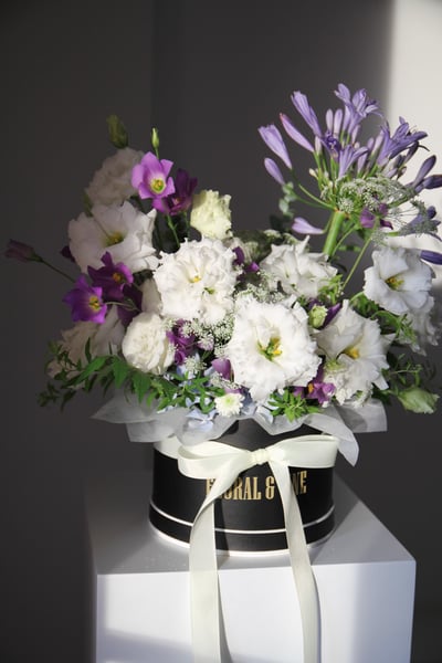 Lavender Bloom 紫蘊．綻放2