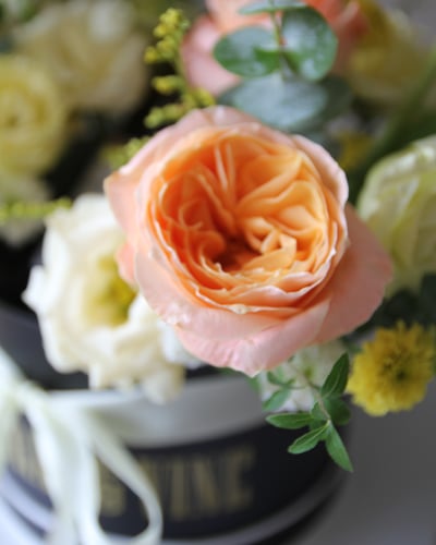 The Joyful Overture 繽紛花酒禮盒4