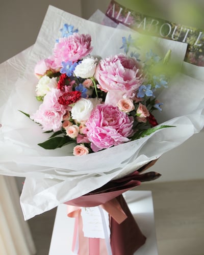 Blush Symphony 粉紅交響樂2