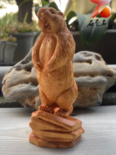 雲南黃金檀原木整料雕刻 自然萌趣【啊～土撥鼠】暖心陪伴的藝術品1