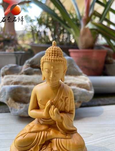 台灣現貨 實體店鋪 雲南小葉黃楊【如來佛祖】7