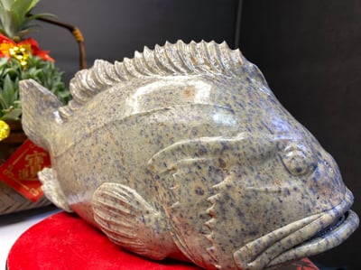 壽山旗山石【石斑魚-年年有餘】4