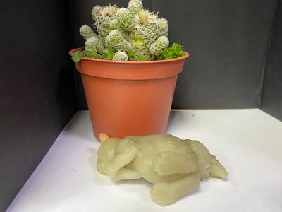 壽山石【送福松鼠】5