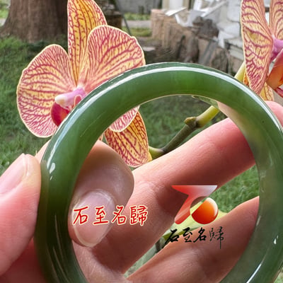 天然收藏級貓眼碧玉手鐲 附【亞瑟寶石鑑定所】正式鑑定證書3