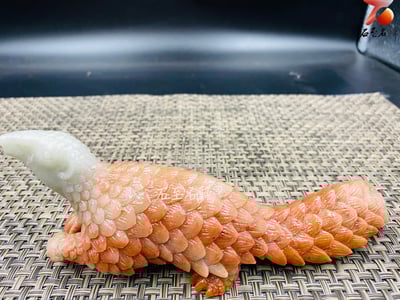 壽山峨嵋石【穿山甲-白首赤甲，護運開祥】王逸文老師純手工雕刻4