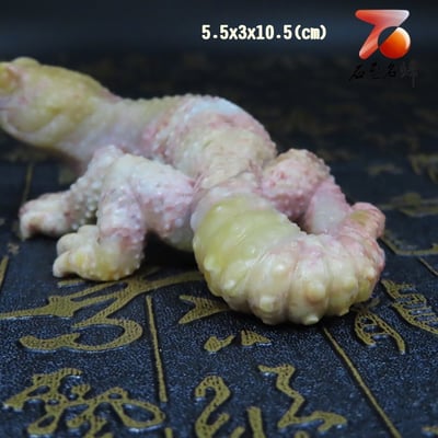 壽山石系列 變色龍與蜥蜴(吸億)23