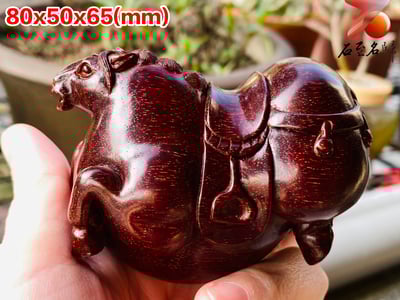 印度小葉紫檀高油密二膘料＋爆滿金星 湘工手作【唐馬套組】6