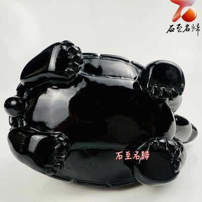 丹東石純手工雕烏龜  張國民雕刻家作品【亞達伯拉象龜】9