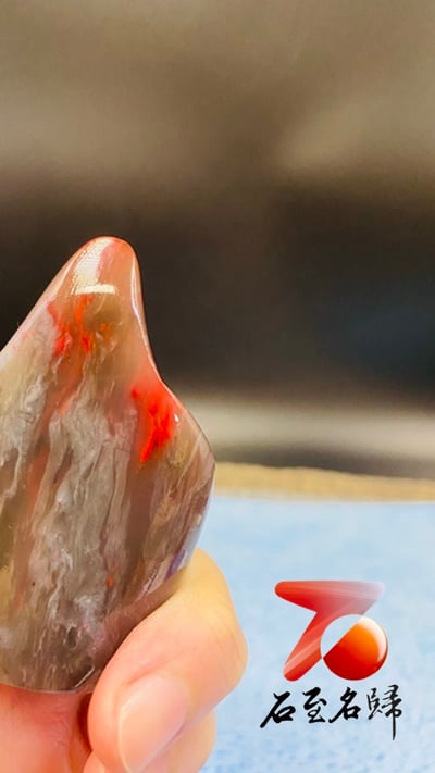 昌化牛角凍印章-鴻運當頭4