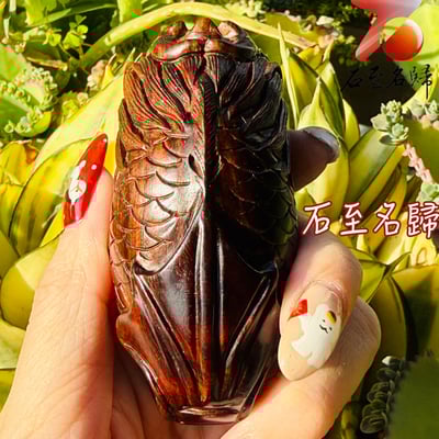 天然 印度小葉紫檀高油密樹心料 湘工手作【抱球龍貔】4