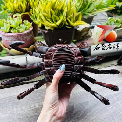 天然印度小葉紫檀精工《八方來財，縱橫四海》6