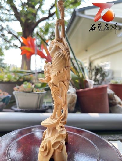 台灣現貨 實體店鋪 雲南大葉黃楊【胡風-西域美女】6