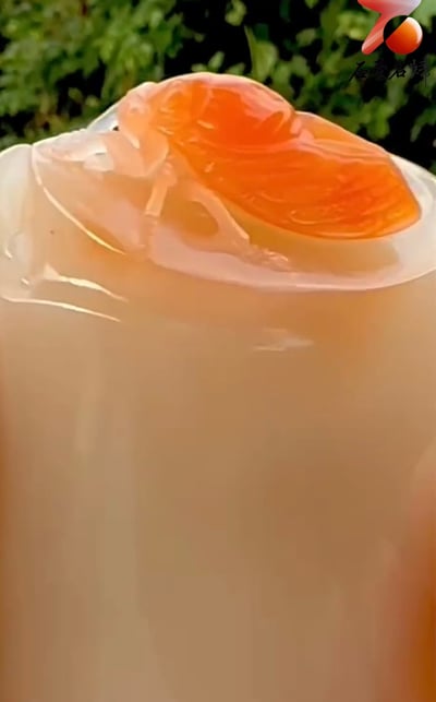 精品老撾保利石 荔枝凍【一鳴驚人】7