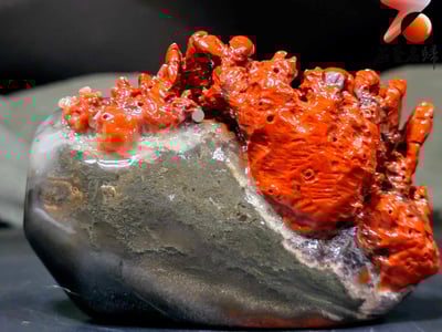 老撾石手工精雕 張國民老師作品【步步高升，八方來財】4