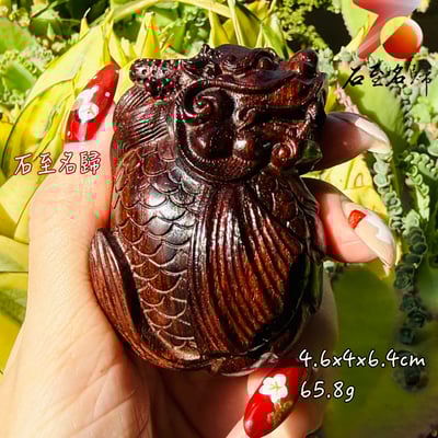 天然 印度小葉紫檀高油密爆滿金星樹心料 湘工手作【納福龍鯉】1