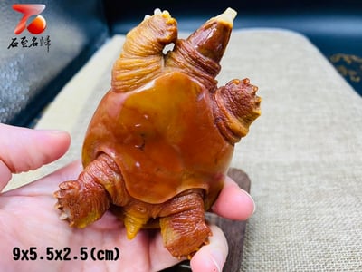 老撾田黃石【富甲天下-甲魚】5