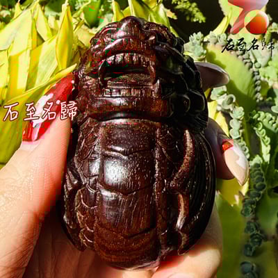 天然 印度小葉紫檀高油密爆滿金星樹心料 湘工手作【納福龍鯉】3