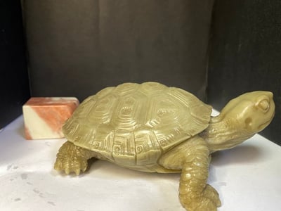 壽山峨嵋石【長壽龜】4