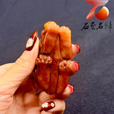壽山石巧色精雕【金鼻迎財・紅運瑞獸】5
