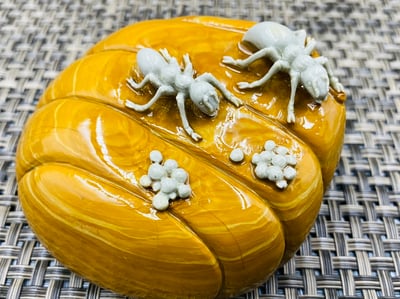 天然巧雕 壽山山秀園石系列【螞蟻大兵】5