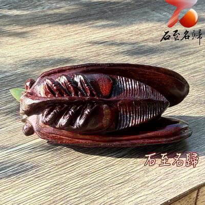 天然 印度小葉紫檀高油密帶金星樹心料 湘工手作【厚積薄發，一鳴驚人】4