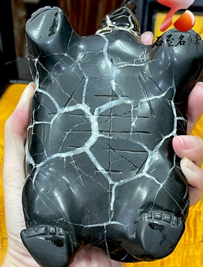 龜甲石重量級1.43公斤作品 手工雕烏龜 【上古巨龜】8