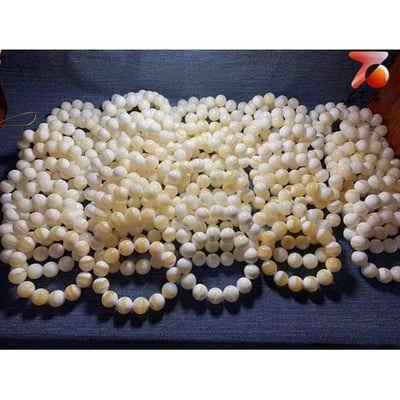 台灣現貨 頂級金絲硨磲手鍊 粒粒精選有帶金絲 開運帶財4