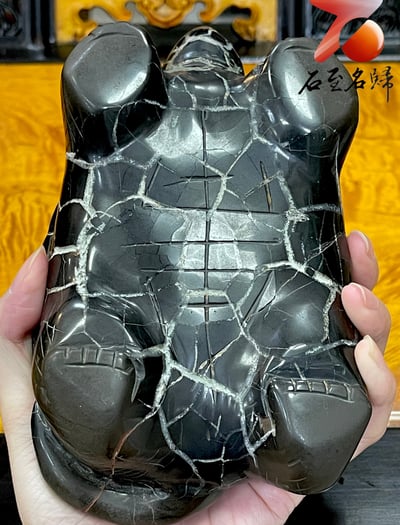 龜甲石重量級1.7公斤作品 手工雕烏龜 【盤古神龜】8