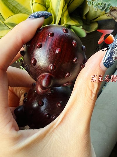 天然非洲桃花心木+浙江櫸木拼接【河豚趣味造型手部穴道按摩神器】2