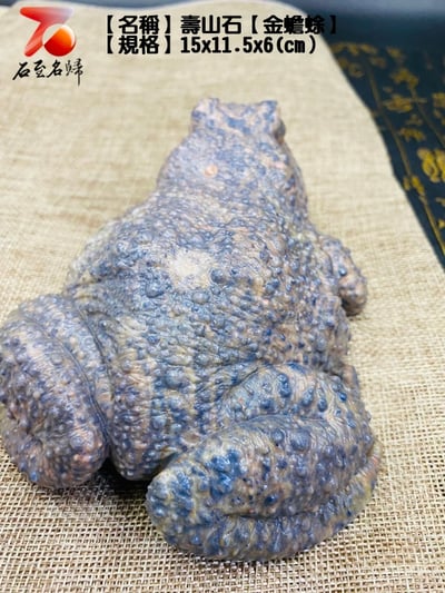 壽山石【金蟾蜍】6