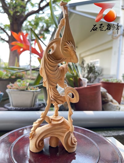 台灣現貨 實體店鋪 雲南大葉黃楊【胡風-西域美女】4