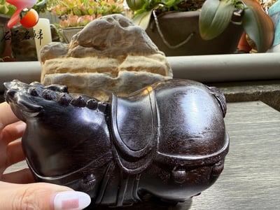 傳世之姿｜奔騰千年 印度小葉紫檀金星老料純手工雕刻【唐馬】7