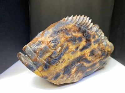 壽山旗山石【石斑魚】2