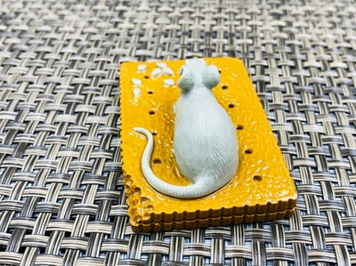 天然巧雕 壽山山秀園石系列【多子多福】4