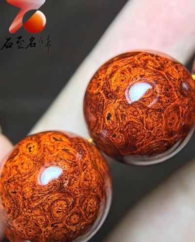 印度小葉紫檀20mm×12顆【梟】6