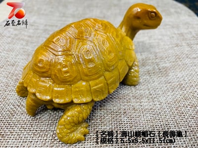壽山峨嵋石【長壽龜】5