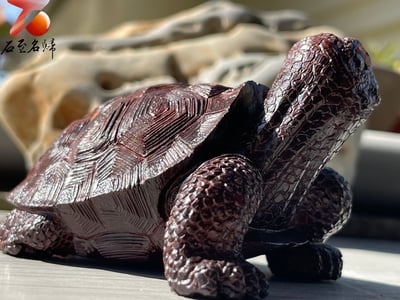 印度小葉紫檀高油密二膘料【鎮宅象龜】3