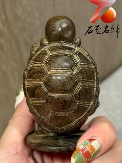 金絲楠木小葉楨楠陰沉綠料雕刻【龜仙人】把幽默、智慧與修仙氣息一次帶回家3