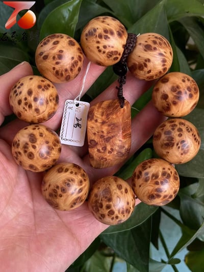 精選正宗太行崖柏雀眼瘤疤2