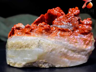 老撾石手工精雕 張國民老師作品【家和萬事興，八方來財】3