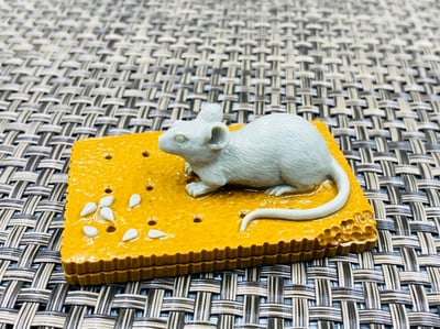 天然巧雕 壽山山秀園石系列【多子多福】1