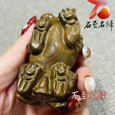 天然金絲楠木小葉楨楠｜嚴選烏木老料（陰沉綠料）【招財貔貅】4