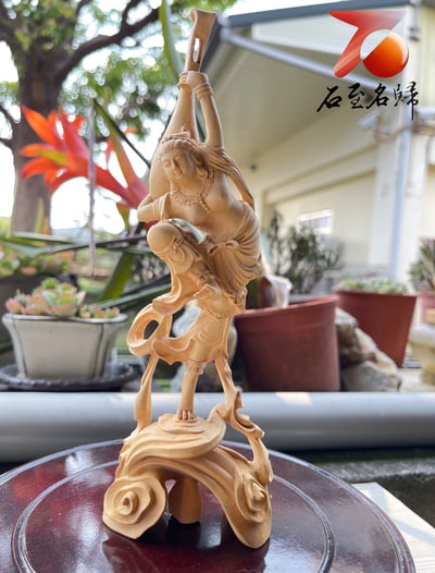 台灣現貨 實體店鋪 雲南大葉黃楊【胡風-西域美女】1