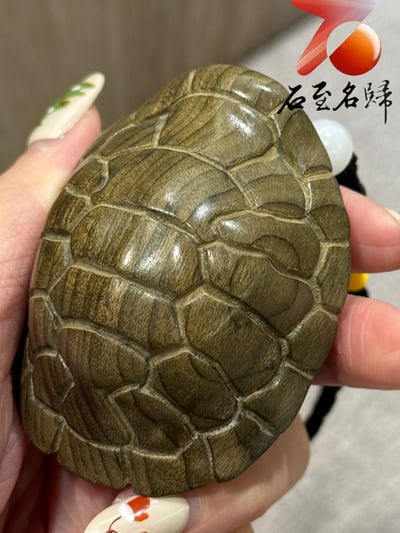 金絲楠木小葉楨楠陰沉綠料雕刻【富甲天下掛件/吊飾】厚實龜殼寓意穩紮穩打，富到發光2